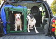 Patty and Selma in October 2007 after a training session with Dr Sands in Astley Park Chorley